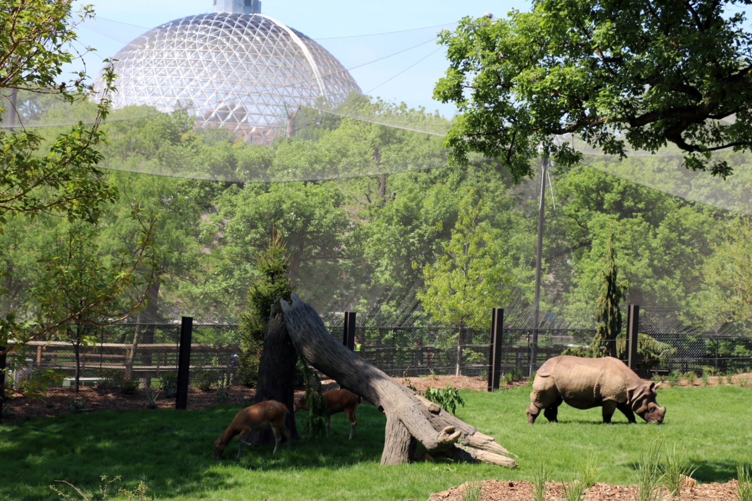 Zoológico