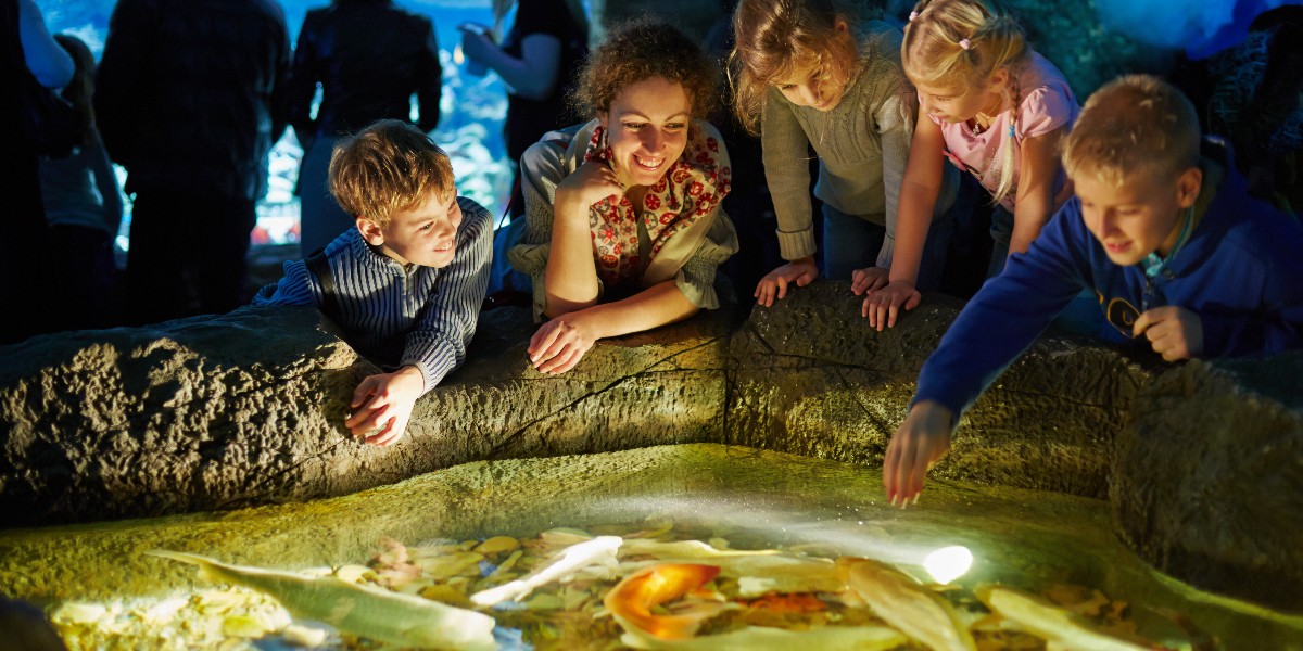 O Henry Doorly Zoo and Aquarium de Omaha gerencia a ocupação e melhora a experiência do visitante com a tecnologia Skyfii